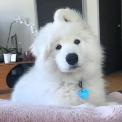 Lestari Putri avatar