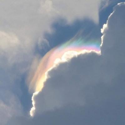 Rini Soemarno avatar